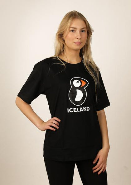 Iceland t-shirts