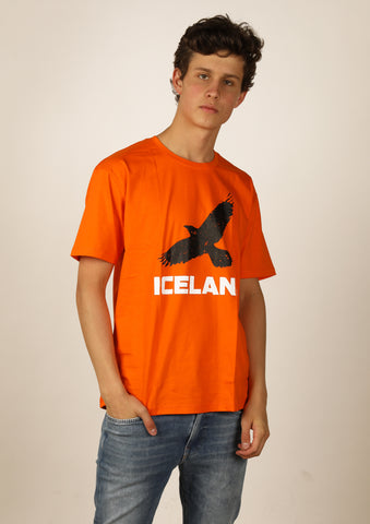 Icelandic sweaters and products - Men's Iceland Raven Tshirts - Shopicelandic.com