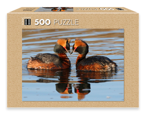 Icelandic sweaters and products - Horned Grebe - Jigsaw Puzzle (500pcs) Puzzle - Shopicelandic.com